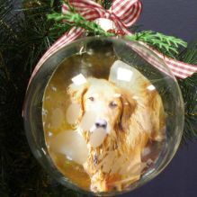 Etched Pet Photo Glass Christmas Ornament http://www.pinterest.com/pin/123426846011476159/